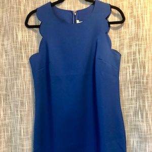 J. Crew Shift Dress with Laser Cut Scallop Trim